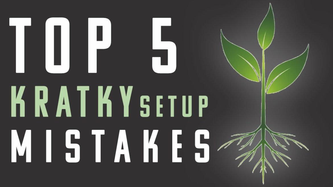 Top 5 Kratky Hydroponic Mistakes You Can Avoid