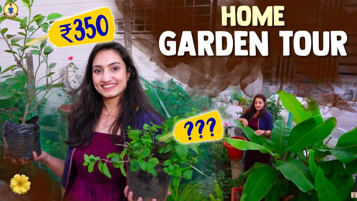 My Home Garden Tour 🪴| Shopping For My Garden 🪴 🛍| Vaishnavi R B