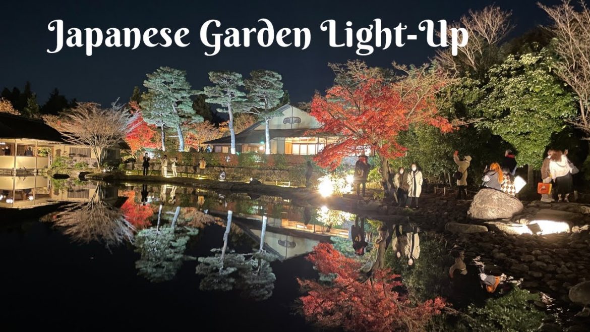 Japanese Garden Illumination | Showa Memorial Park Japanese Garden Illumination | Showa Memorial Park