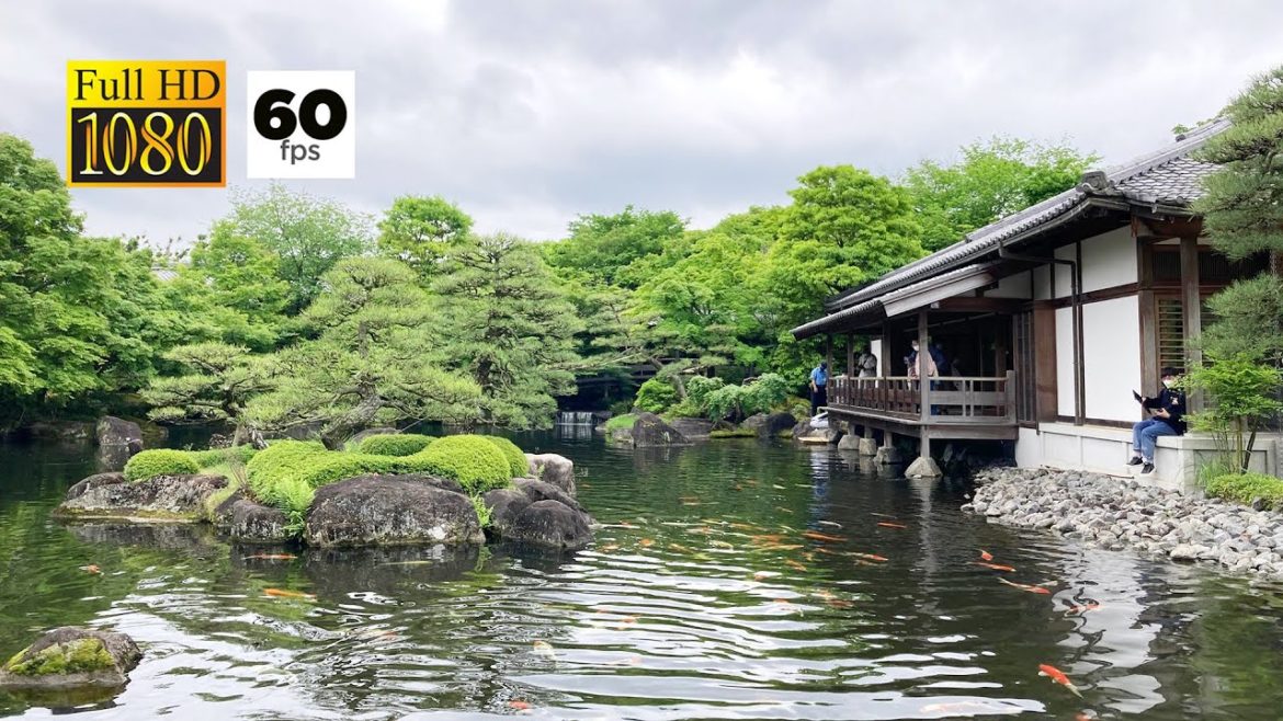 JAPAN TRAVEL | Koko-en Garden A traditional Japanese garden that preserves the Edo period.
