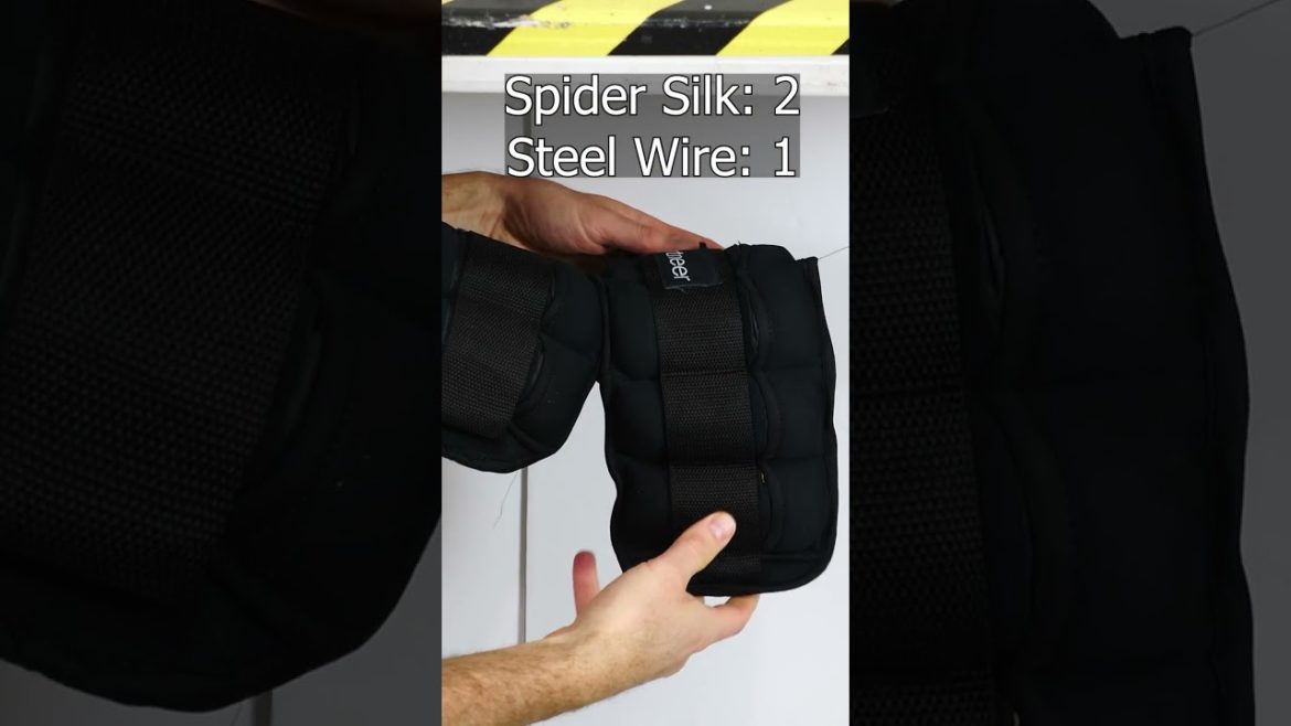 Is Spider Silk Stronger Than Steel?