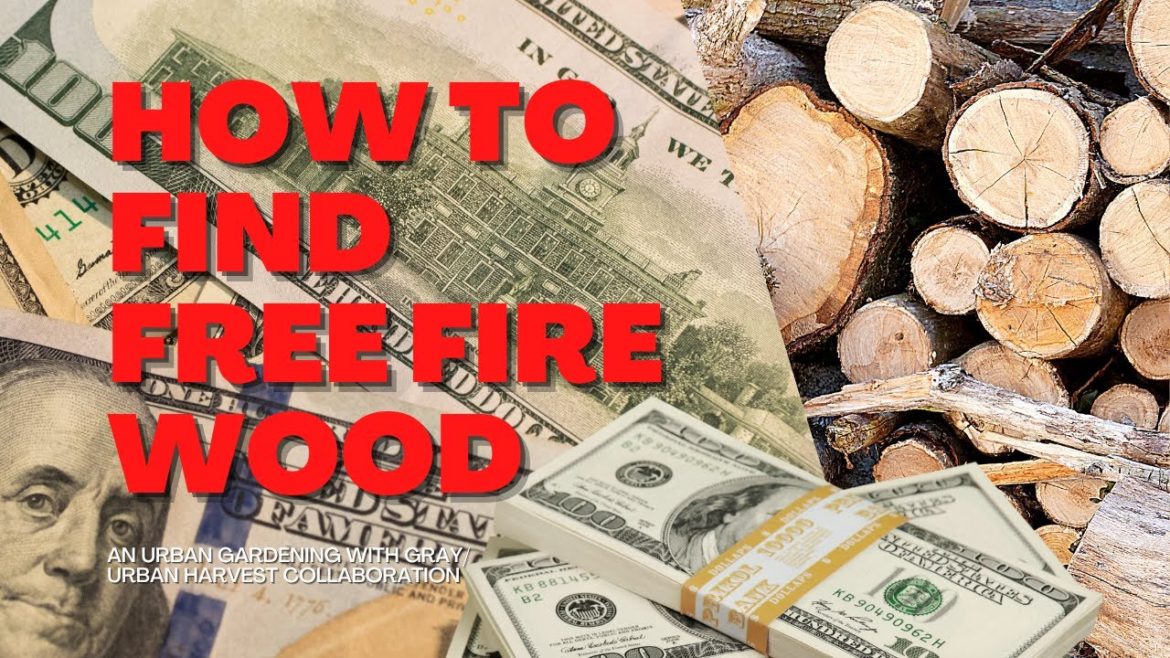 FREE Wood Haul #trending #gardening #urbangardening #free