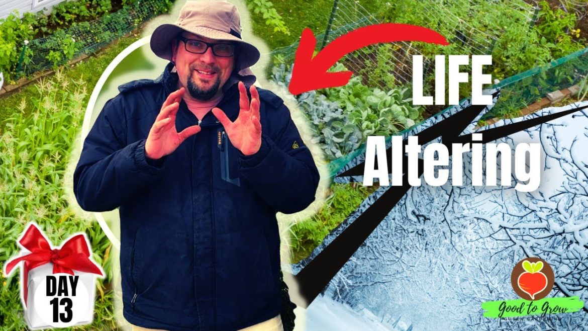 This Vegetable Changed Our Lives - and it's DAY 13 of our 31 Days of Giving