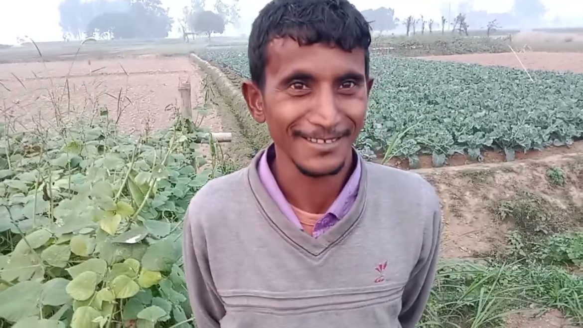 শিম চাষে কতটুকু লাভ ক্ষতি হয় সেই বিষয়ে আলোচনা করা হয়েছে। SOHAN VS শিম চাষে কতটুকু লাভ ক্ষতি হয় সেই বিষয়ে আলোচনা করা হয়েছে। SOHAN VS