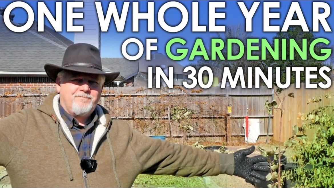 One Whole YEAR of Gardening in 30 Minutes - 2022 in Review || Black Gumbo
