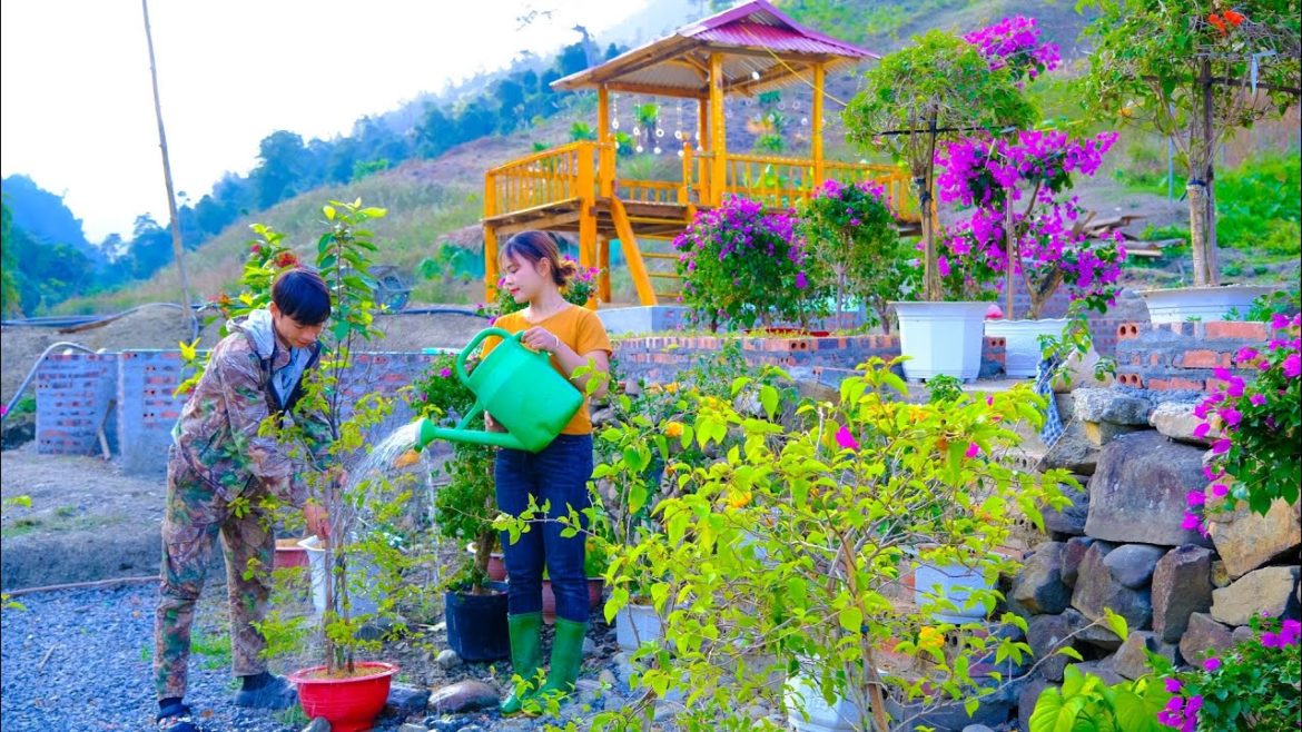 Working hard with his wife to grow flowers, grow potatoes, raise chickens and ducks – FULL VIDEO Working hard with his wife to grow flowers, grow potatoes, raise chickens and ducks - FULL VIDEO