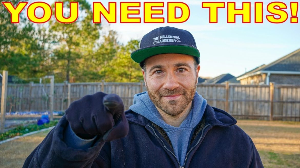 You Need To Hear This NOW! You Need To Hear This NOW!