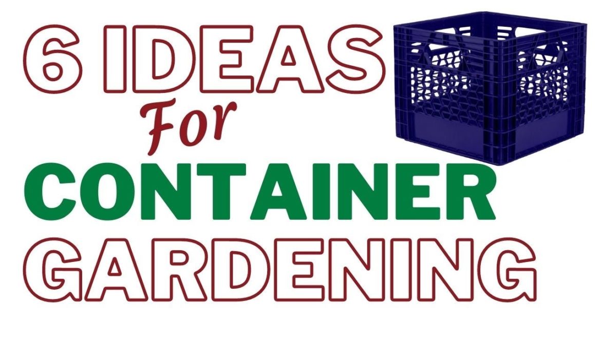 6 Container Gardening Ideas For Beginners Growing Food at Home 6 Container Gardening Ideas For Beginners Growing Food at Home