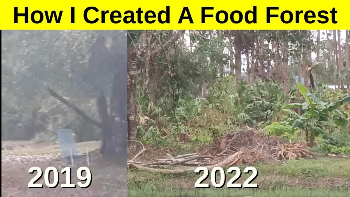 This Is How You Start a Food Forest