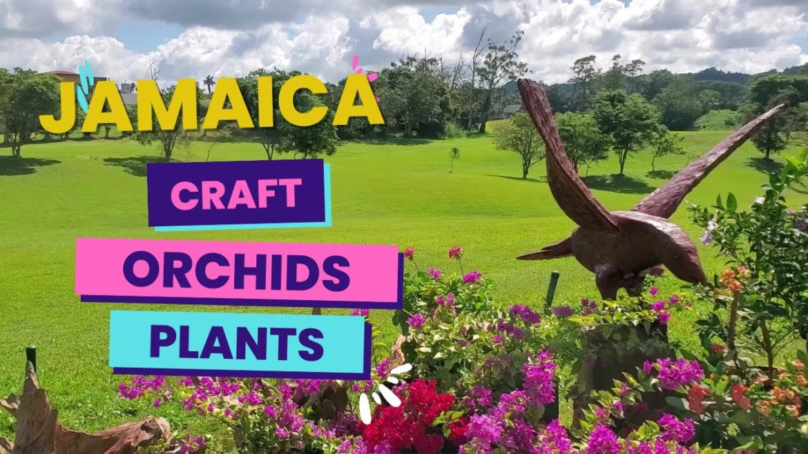 Crafts, Orchids and more Plant show Tour JAMAICA