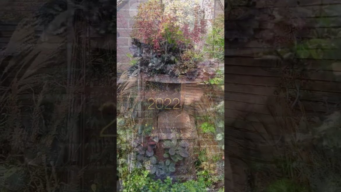 @Orientalbackyardgarden in 2023#gardens #englishgarden#gardentour #gardening