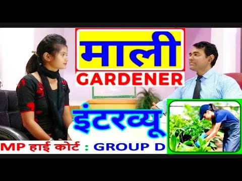 Mali Interview in Hindi | MP High Court Group D | MPHC #Gardener Interview | PD Classes Mali Interview in Hindi | MP High Court Group D | MPHC #Gardener Interview | PD Classes