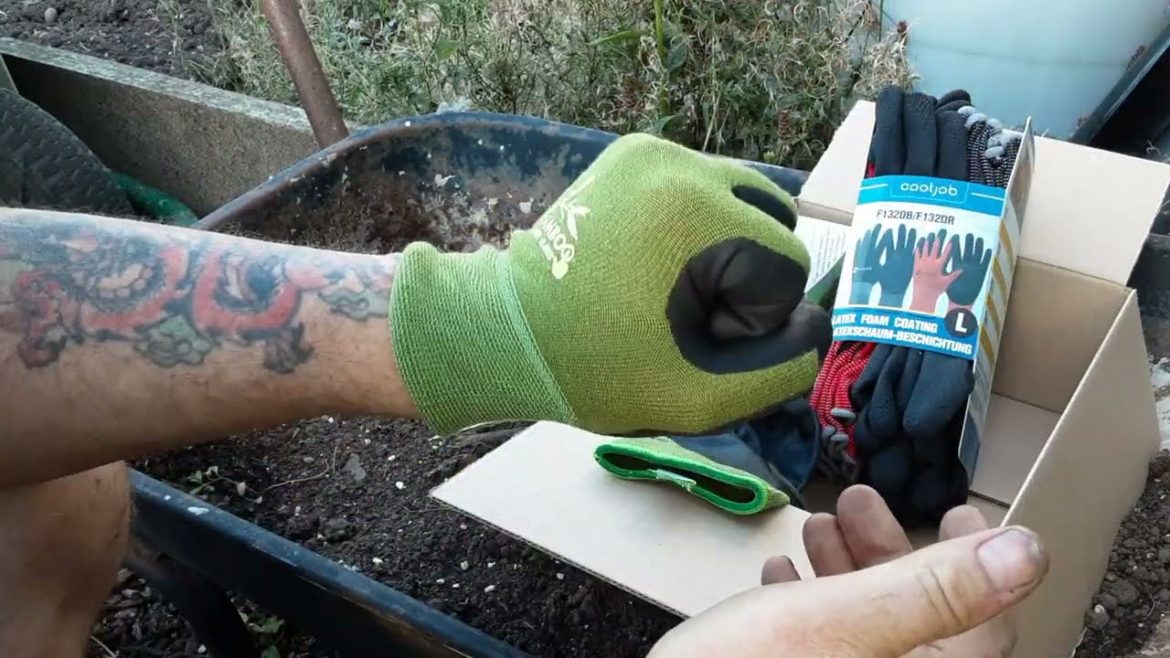 Green Manure Field Beans ๐ป Cooljob Safety Life & Gardening Gloves Product Review ๐ป Peas in Guttering Green Manure Field Beans ๐ป Cooljob Safety Life & Gardening Gloves Product Review ๐ป Peas in Guttering