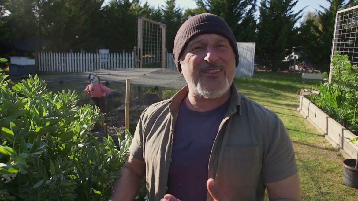 Spring Gardening Tips - Sept 2021