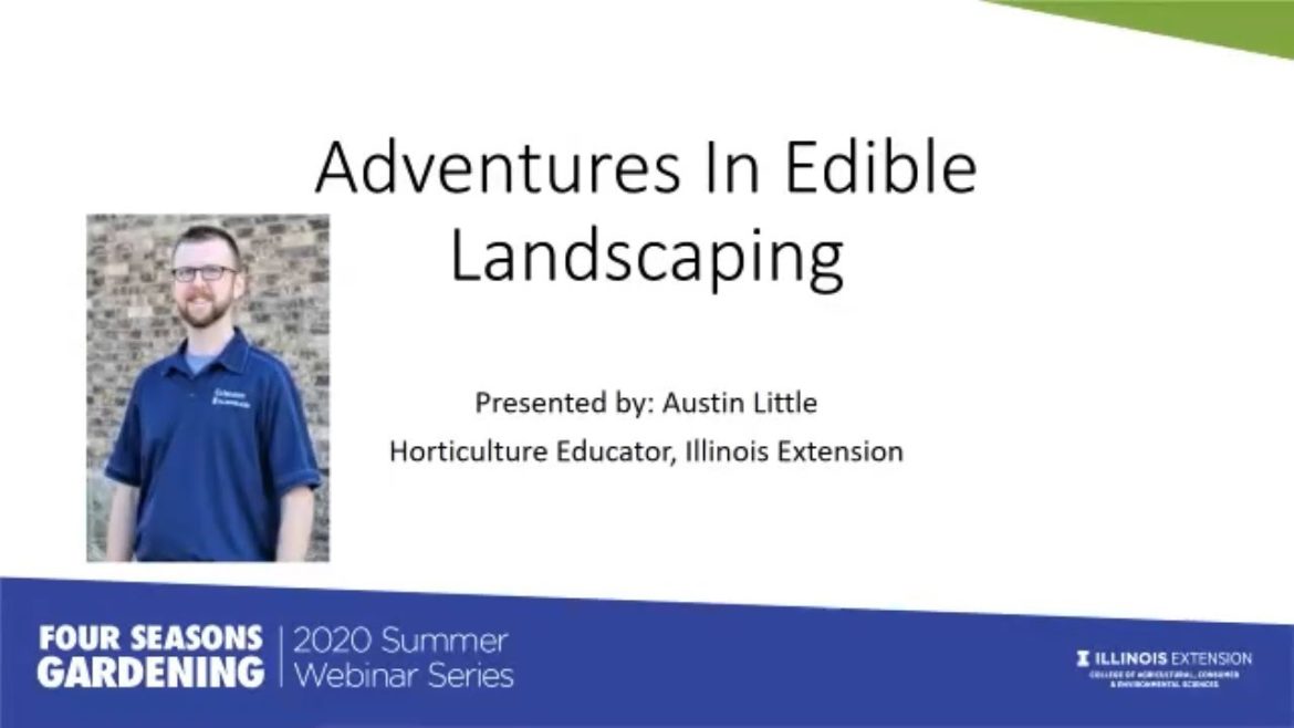 Adventures in Edible Landscaping