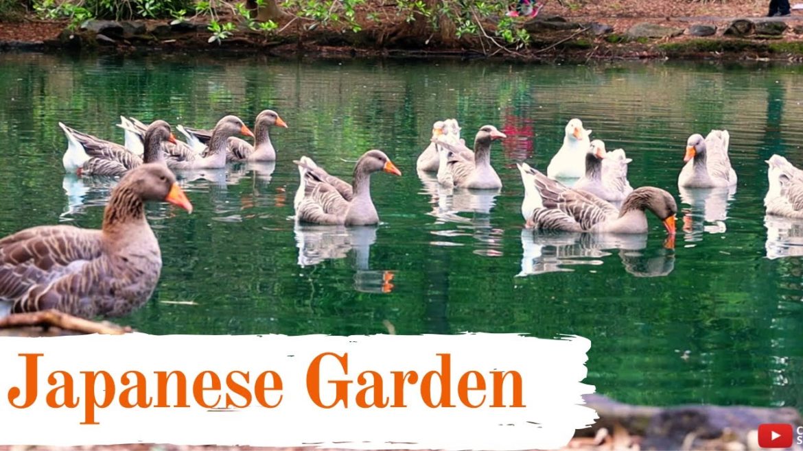 Japanese Garden Sydney, Australia