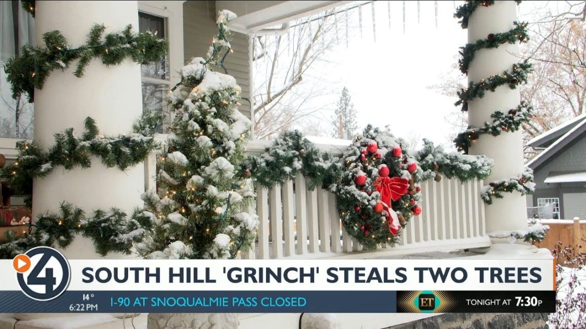 South Hill ‘Grinch’ steals live Christmas tree from front yard