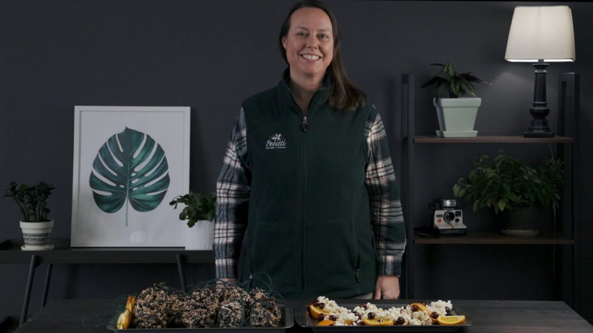 PETITTI | How to Decorate a Tree for the Birds PETITTI | How to Decorate a Tree for the Birds