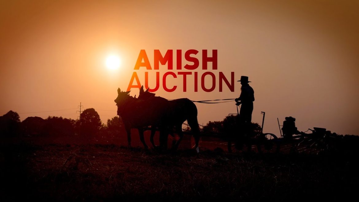 Amish Auction | Full Measure Amish Auction | Full Measure