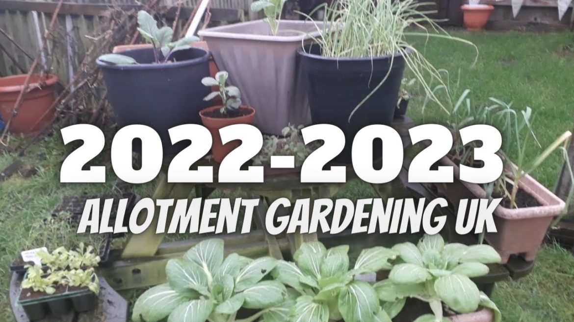 Allotment Gardening UK [Grow Vegetables At Home ]