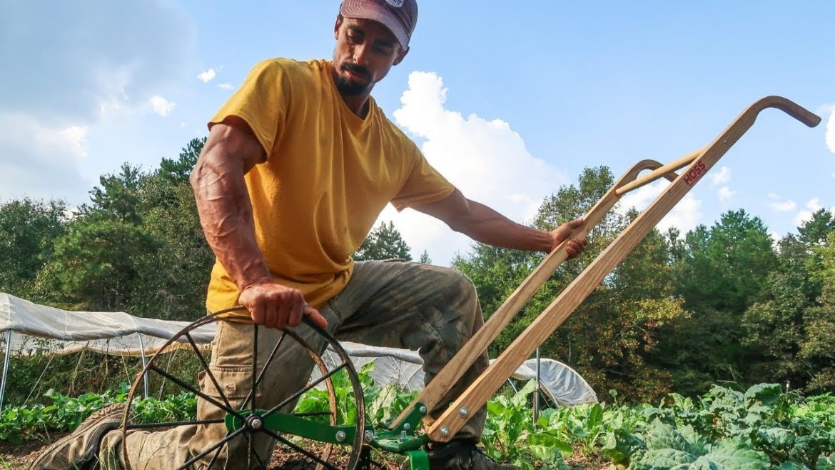 This GARDEN tool made me four times FASTER & more efficient