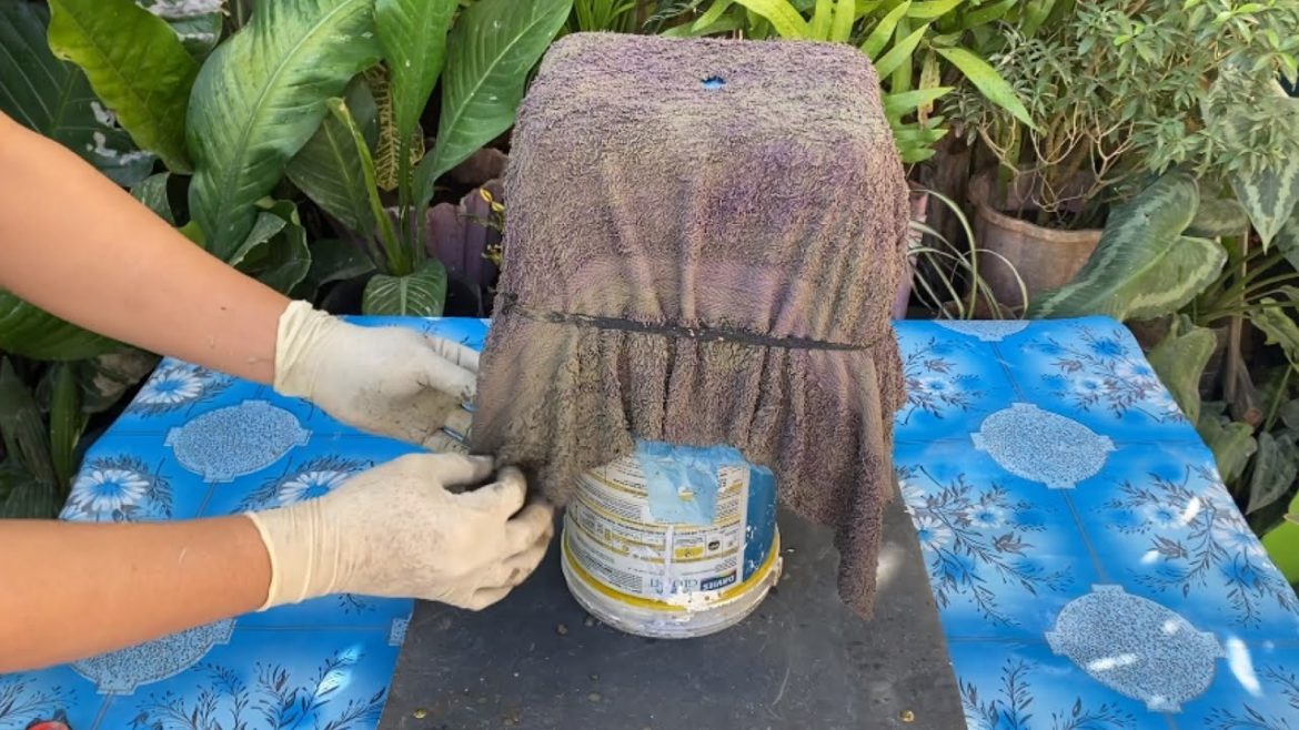 Simple Ideas For You – How To Make The Flower Pot Design From Towel And Cement Simple Ideas For You - How To Make The Flower Pot Design From Towel And Cement