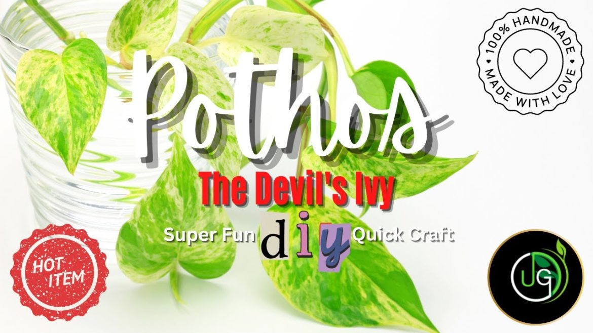 QUICK & EASY Pothos DIY#trending #gardening #urbangardening #plants QUICK & EASY Pothos DIY#trending #gardening #urbangardening #plants