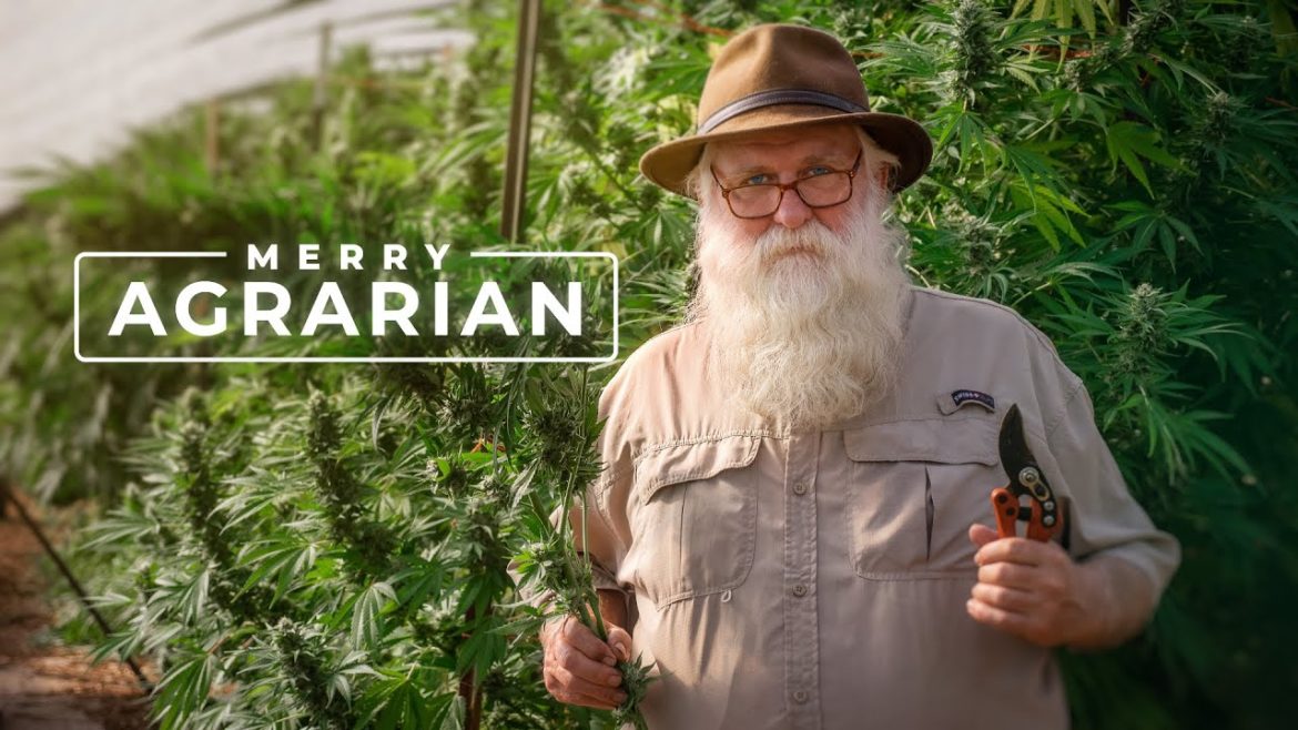 18 Wonderful Years Growing an Agrarian Oasis | PARAGRAPHIC 18 Wonderful Years Growing an Agrarian Oasis | PARAGRAPHIC
