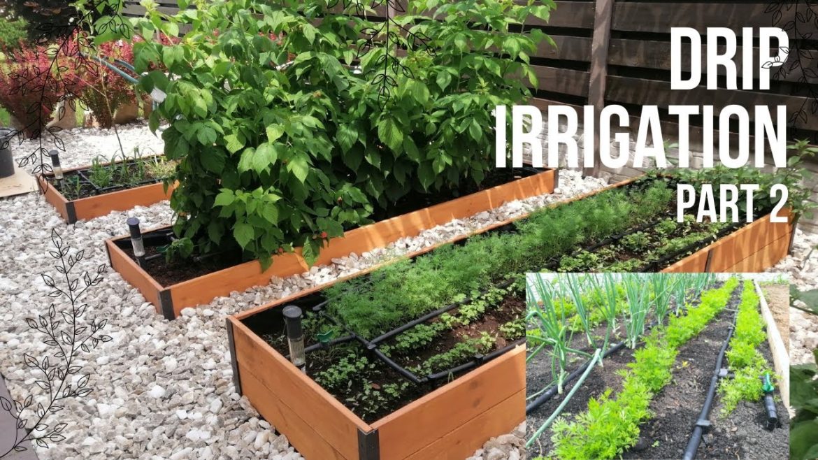 Tips to get the best results from your garden with a drip watering system