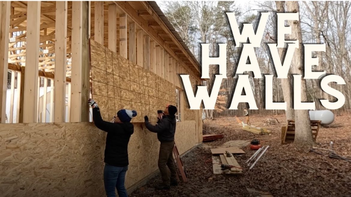 We Have Walls! ~ Installing OSB | Gardening with Creekside We Have Walls! ~ Installing OSB | Gardening with Creekside