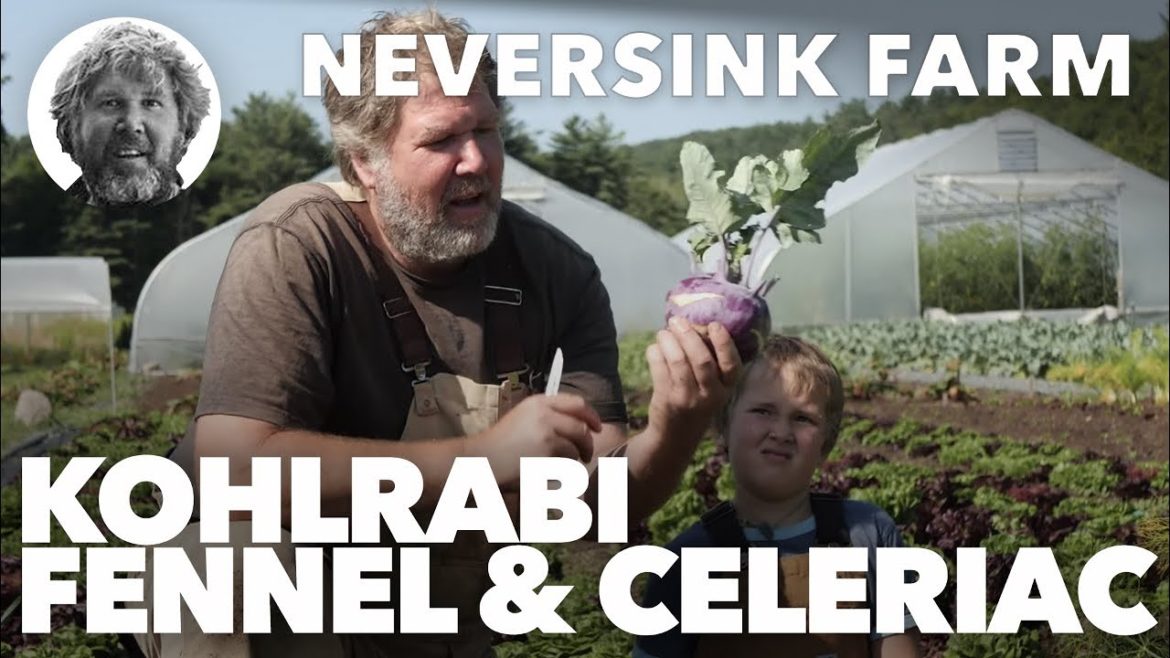 Garden Course - Growing Kohlrabi, Fennel & Celeriac