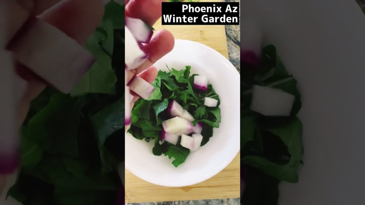 Keto Salad lunch from 🌵Desert Garden like…