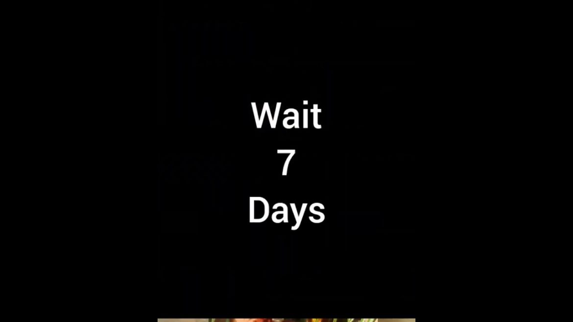 1 Aloe vera slice = 10 plant #shorts #aloevera plant grow kaise karen