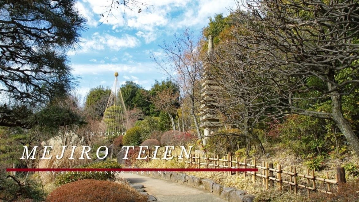 Japanese Garden: - Mejiro Teien in Tokyo 2022 - HD 4K by Real Japanese Gardens