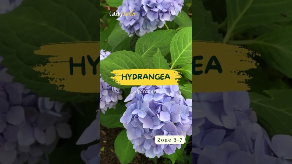 7 Best Shrubs To Grow In Shade and Will Fill The Void in Under Trees 🌷🌳// #short #shorts