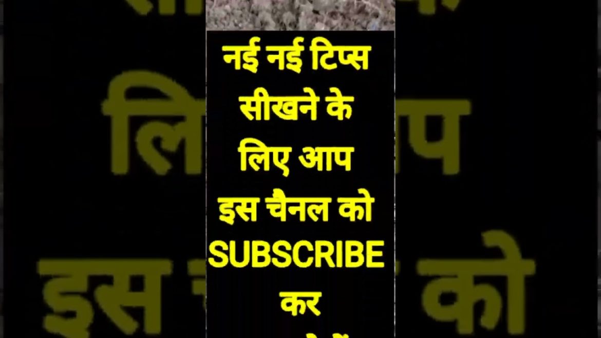 केचुआ🪱🪱🪱 का फायदा/How to grow vegetables at home/गमले में सब्जी कैसे उगाएं#shorts@Terrace Gardening