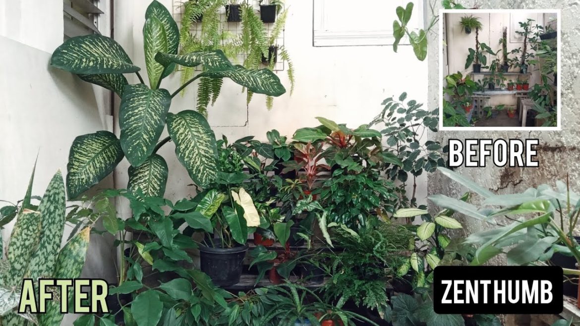 GARDEN MAKEOVER | Plant Styling | Garden Design | Landscaping