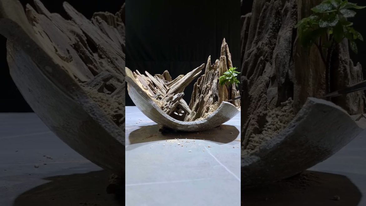 Small Garden Ideas DIY at Home | Miniature Garden | Terrarium Design Ideas | Ep 07 #Shorts