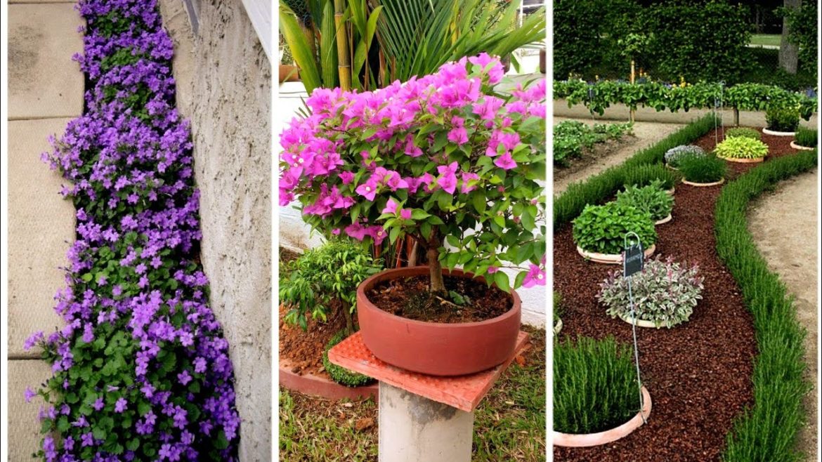 Ideas for small garden design | Small yard landscaping ideas