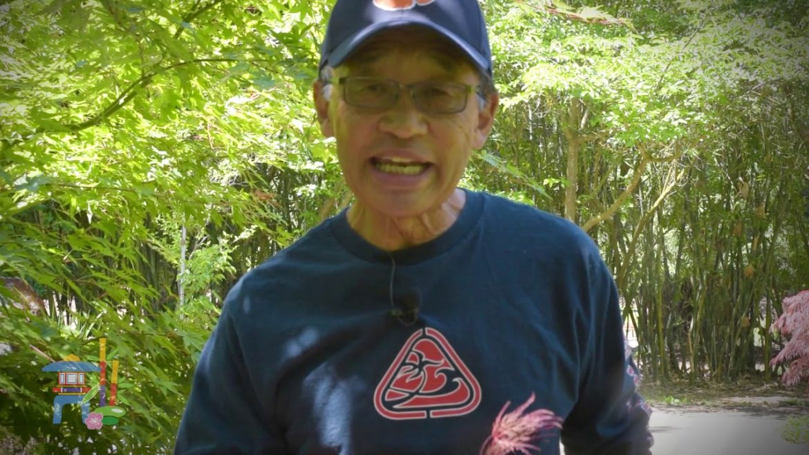 Gardening with Roger, "Japanese Maples"