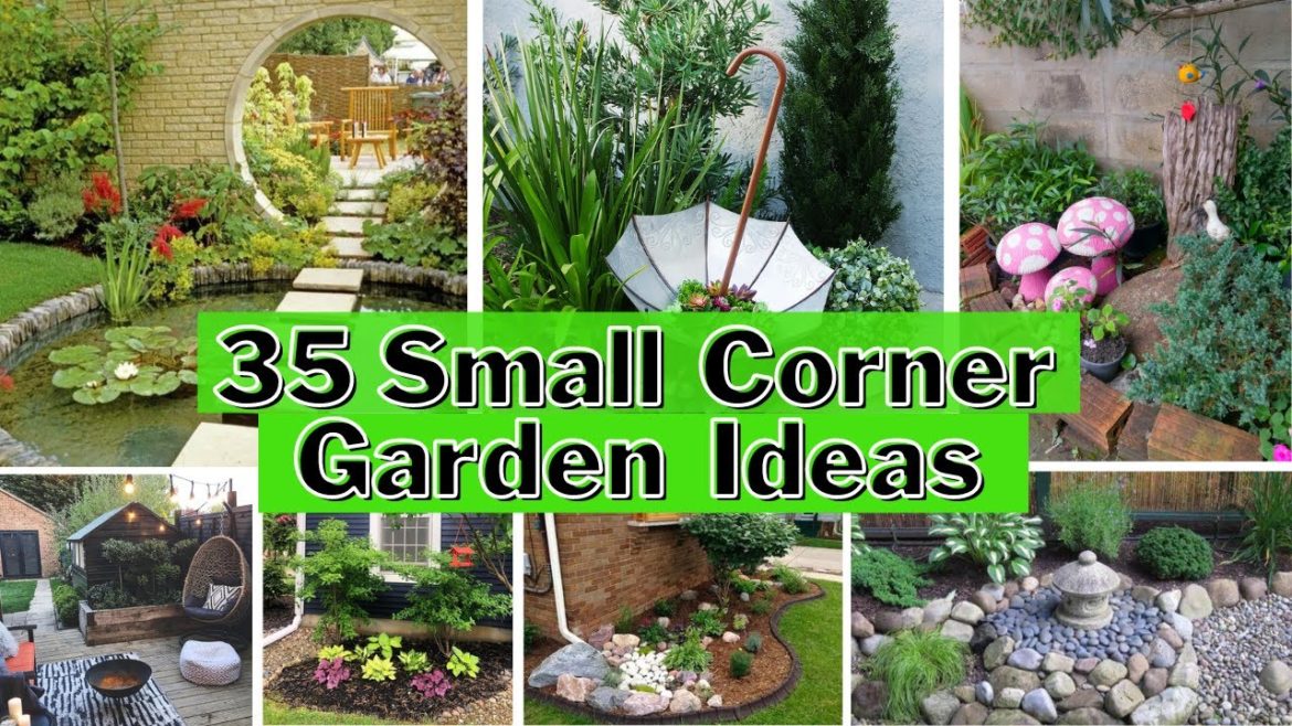 35 Small Corner Garden Ideas | Small Space Garden Design | Dream Garden DIY -2| Swaroopa Diaries 35 Small Corner Garden Ideas | Small Space Garden Design | Dream Garden DIY -2| Swaroopa Diaries