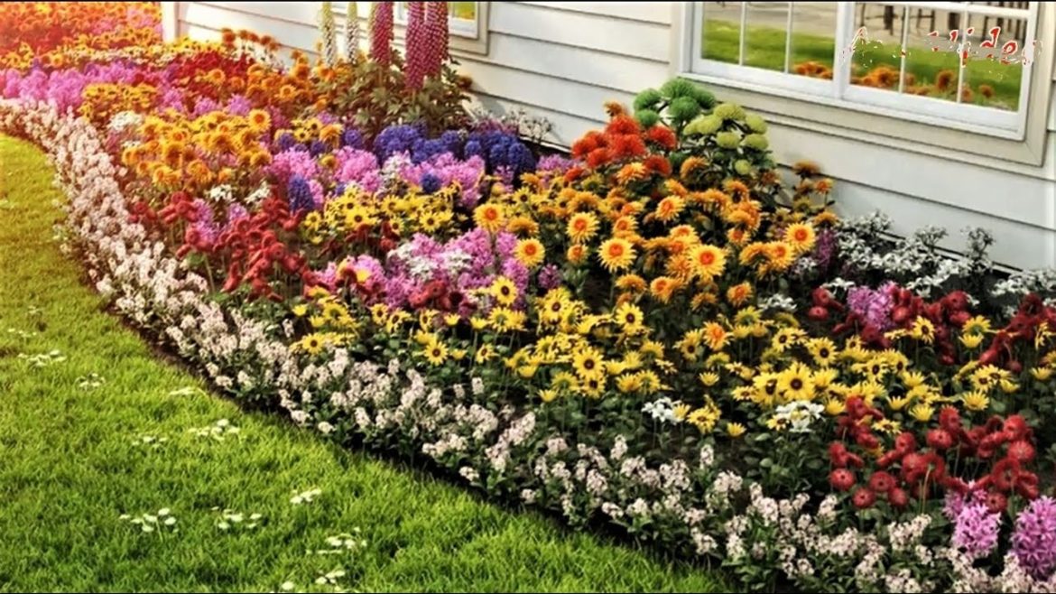 🌺Великолепные идеи для благоустройства садовых участков / Creative garden ideas 🌺Великолепные идеи для благоустройства садовых участков / Creative garden ideas