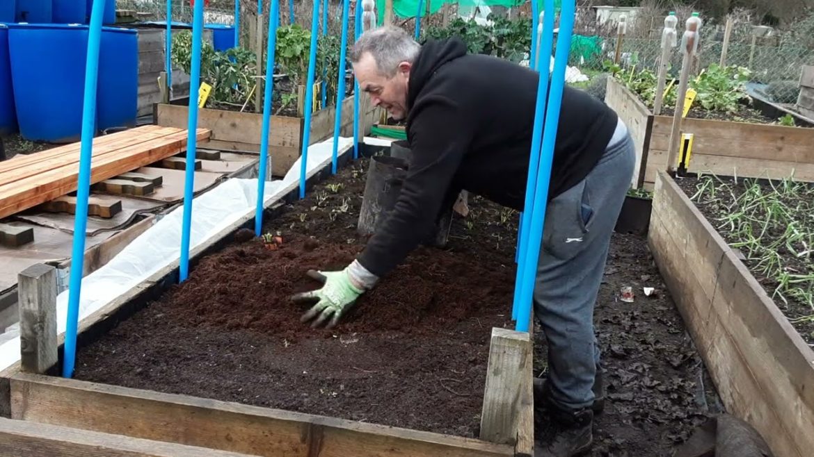 Allotment Jobs Done In Three Hours Dec 22 🥕 How To Store Carrots 🌻 Garden Cane Storage & Much More