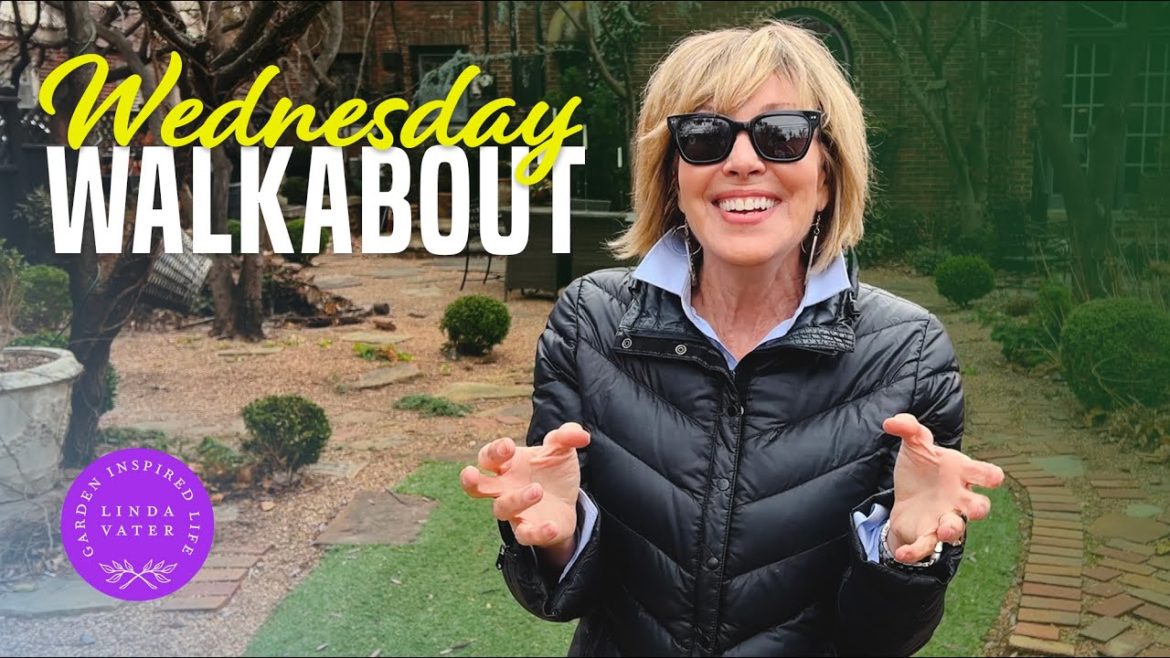 Let's Take a Look at the Garden