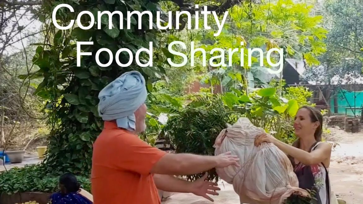 CURRY LEAVES FOR A BIG FESTIVAL – Community Food Sharing CURRY LEAVES FOR A BIG FESTIVAL - Community Food Sharing
