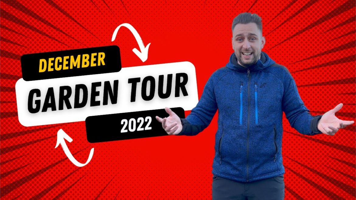 Garden Tour December 2022 Garden Tour December 2022