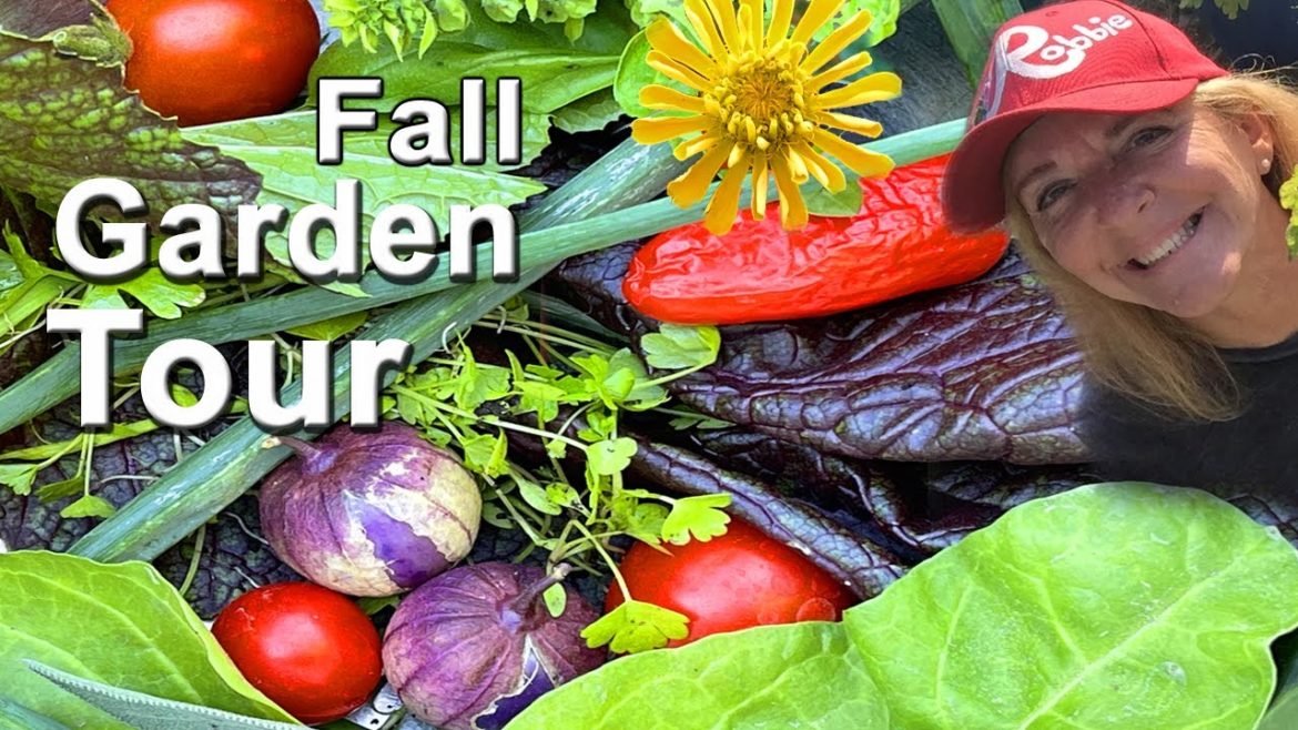 Vegetable Garden Tour 🍅 Container Gardening & Vertical Garden Tomatoes Peppers & Food for all Winter