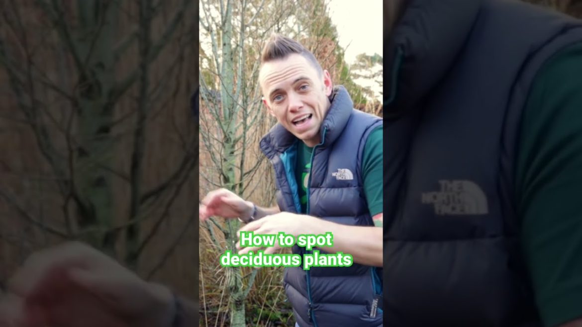 How to spot what plants to prune in winter! #gardening #gardendesign How to spot what plants to prune in winter! #gardening #gardendesign