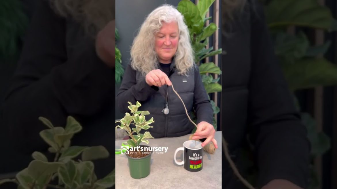 Gardening Hack: Self Watering Solution