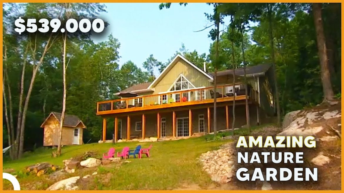 Modern House With Amazing Garden Design | What's For Sale Modern House With Amazing Garden Design | What's For Sale